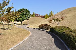 「新緑が美しい初夏の釜山・慶州を満喫！」ツアー