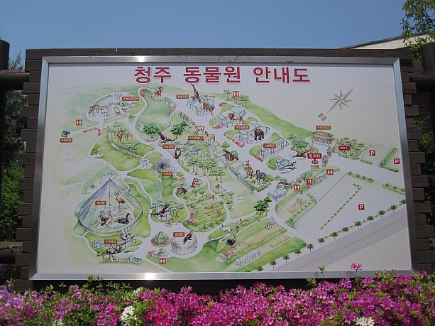 地方の動物園、清州動物園に行ってきました！！ 動物園 清州 地方 忠清北道 地方の動物園 韓国の動物園 地方の珍しいスポットドラマロケ地