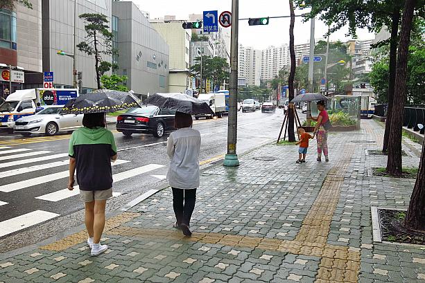 そんな豪雨もお昼頃にはすっかりおさまり、一安心。普段は少し雨が降っても出かけるのが面倒に感じるけれど、あの雨の後だったら少しくらいの雨は気にならないかも。