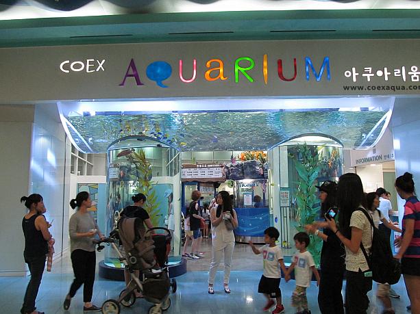 アクアリウムはちゃんと営業しています☆