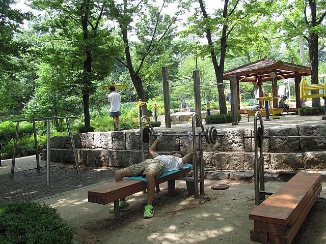 夏を探しに緑いっぱいの孝昌公園へ ソウルナビ