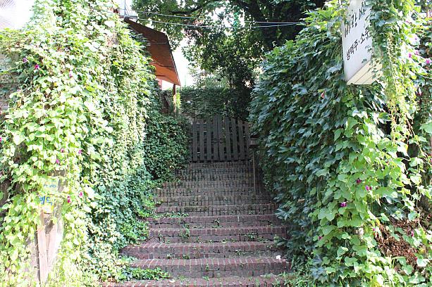 少し歩いた先には・・・わぁ～森の中に来たみたい！でもよく見るとこの壁に張り巡らされてるのは朝顔かな？