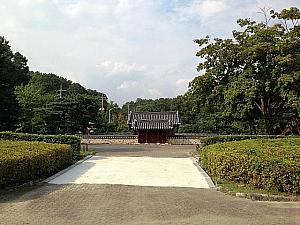 朝鮮のダヴィンチの故郷、南楊州の茶山遺跡地と実学博物館に行ってきました！ チョン・ヤギョン 丁若鏞 イ・サン 正祖 遺跡 歴史 実学博物館
