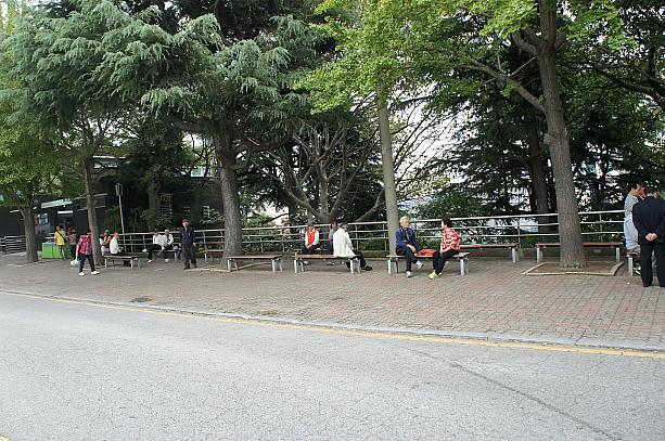 龍頭山公園内は地元の人の憩いの場♪