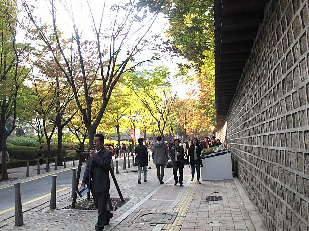 紅葉のキレイなこの時期にトルダムキルでお散歩ってステキですよね☆　でも、今年のトルダムキルの紅葉はまだあと少し待たなきゃいけないみたい。