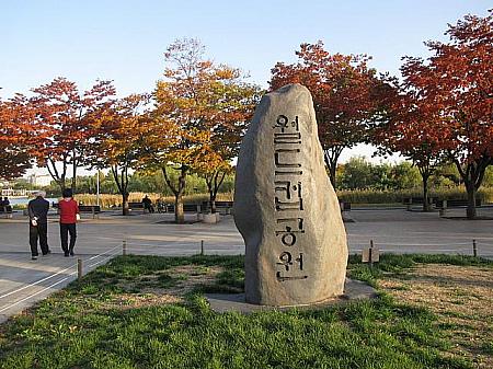 写真で見るソウルの紅葉スポット巡り！【2013年】 紅葉 ソウルの紅葉 イチョウ もみじソウルの紅葉スポット