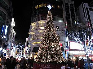 ソウル劇場の前には大きなクリスマスツリーが！