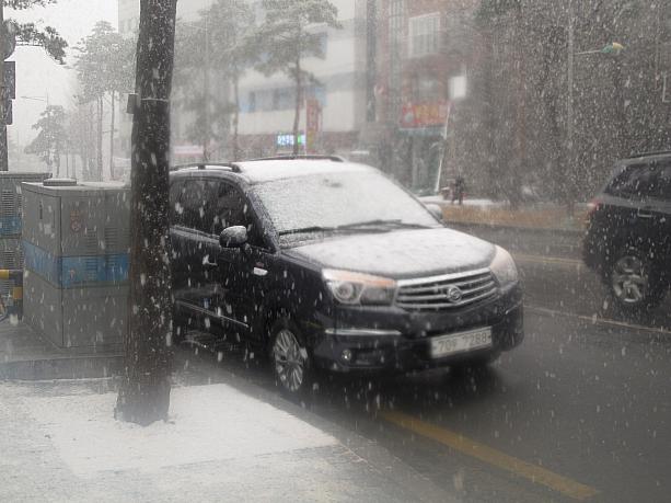 粒が大きな雪だから、街も黒い車もあっという間に真っ白に！