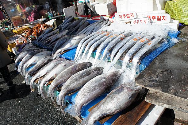 新鮮な魚がずら～り！！