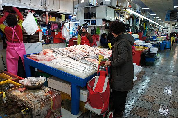 何の魚を買おうかな～？！旧正月の準備をしなくっちゃ！