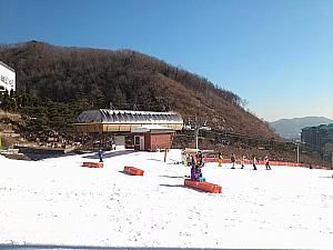 韓国でスキー場に行ってみよう！ スキー ウィンタースポーツ 体を動かす 運動 子連れ 冬季 冬 レンタル ウエア プールレジャー