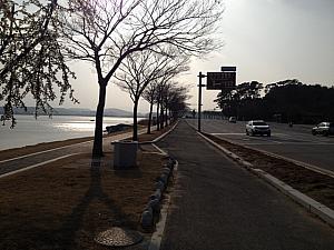 鏡浦湖沿いを歩きます！