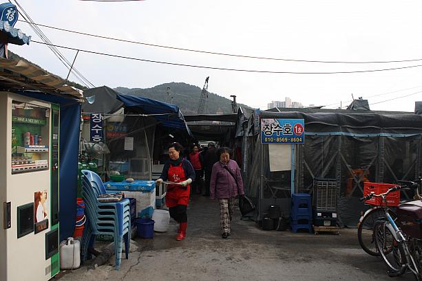 釜山にはお刺身処が多いですが、こちらは広安里近くの二妓台（イギデ）入り口のお刺身村！