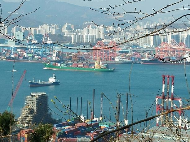影島の少し高台に上がってみると釜山港の景色が！！