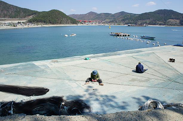小さな港では漁が終わった漁師さんが網の整備をしていました！
