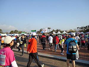 慶州さくらマラソン＆ウォーク２０１４に参加してきました！ 慶州の桜 慶州 釜山近郊 新羅 春 マラソンさくらマラソン