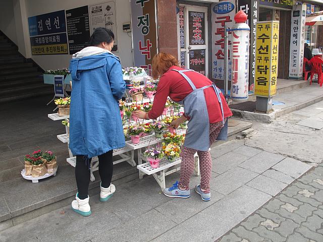 今日は何の日 街なかにはカーネーションがい っぱい ソウルナビ