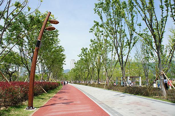 釜山市民公園は大人も子供も楽しめる場所になってます！