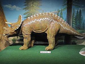 恐竜のブースにはお約束の化石とかつての偉大な姿が展示されています