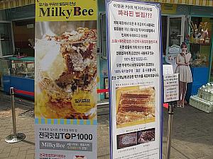 TV放送後はお店の前に「本物の蜂の巣です！」という看板を出すお店も。