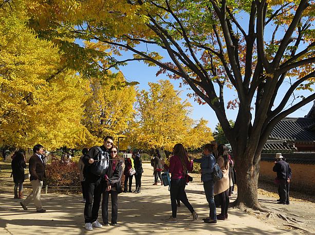 紅葉は一瞬しか味わえないから写真撮影は必須！大流行中のセルカボン（自撮り棒）も大活躍☆