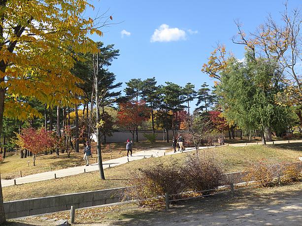紅葉を眺めながらゆっくり散歩を楽しむ人でたくさんの景福宮。今しか味わえない秋の景福宮を楽しんでみては？