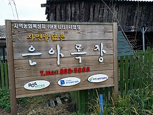 韓国の農村体験ツアー「K-FARM」に参加してきました！ 地方 ソウル郊外 楊平 ヤンピョン 農村体験 農村 体験 驪州 ヨジュ 京畿道 キョンギド 牧場 キムチ作りキムチ作り体験