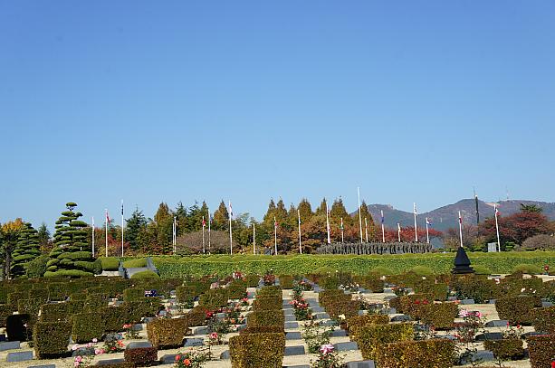 今日はキレイな青空が広がる快晴の釜山です！