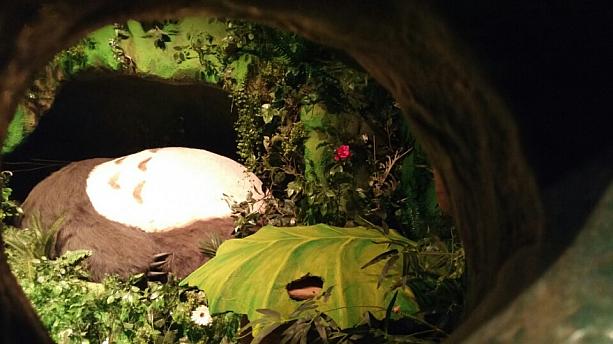 大きな木の穴をのぞくと、中にはいびきをかいて寝ているトトロ！お腹が動いているのでリアリティーあり＾＾
