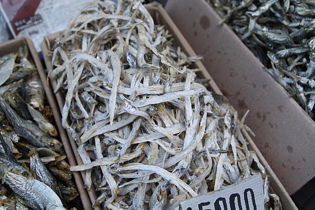 こちらは高級魚の太刀魚の稚魚のにぼし。珍しいですよね？