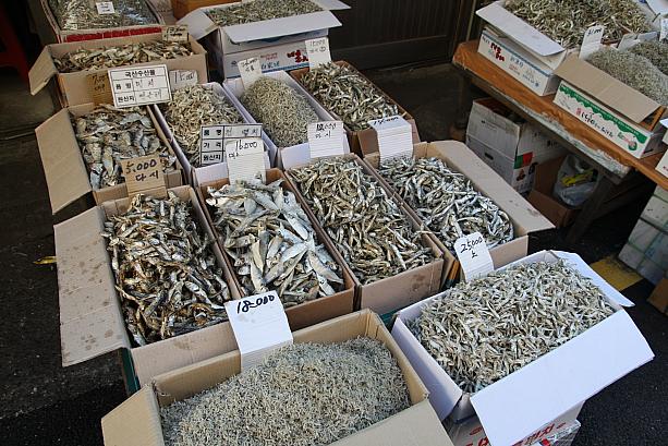 いろいろな種類があります～！