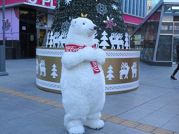 ツリー前にはコーラのしろくまさんもいる！抱きついて一緒に写真撮りたい～！