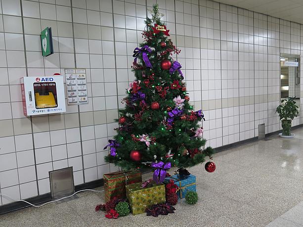 テフン駅の中にもちょこんとツリーが。クリスマスまでまだ少しあるけど、もうクリスマスまで待ちきれない！！