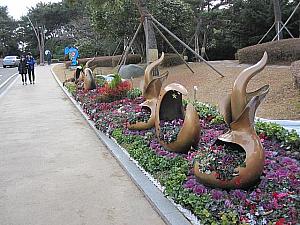 韓国・ASEAN特別会議を記念し冬柏公園の入口に植えられています。