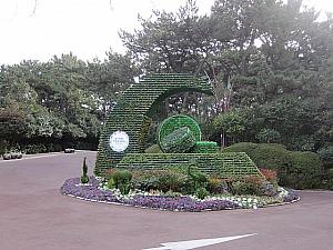 韓国・ASEAN特別会議を記念し冬柏公園の入口に植えられています。