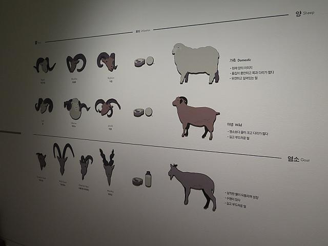 博物館で毎年開かれる干支の展示 今年は 幸せを呼ぶ羊 ソウルナビ