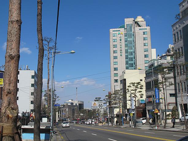天気はいいけれど風が冷たい！３月も半ばなのにまだまだ寒い！
