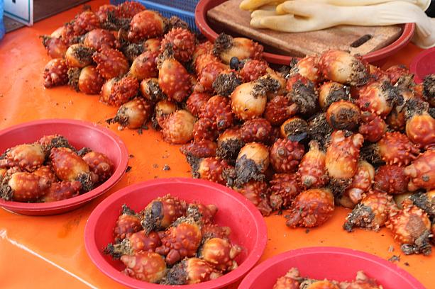 韓国のホヤ、食べたことありますか？今が、こちらでは旬です！