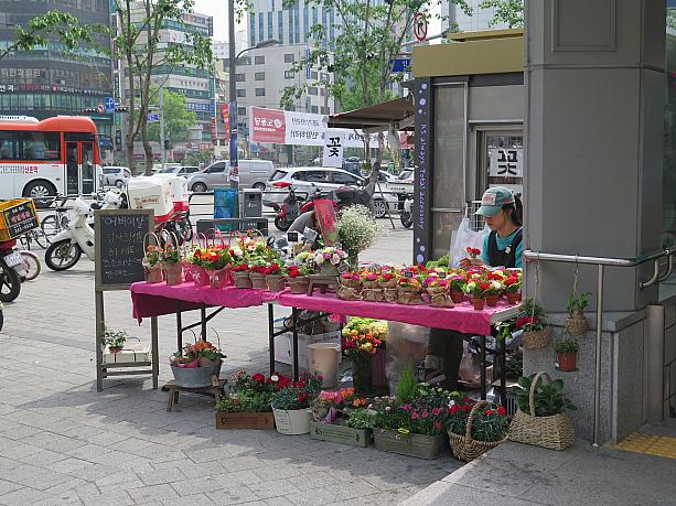 あれ？駅前に花売りさんが。今日はオボイナル（父母の日）。両親へ日頃の感謝を込めてプレゼントを送る日なんです。