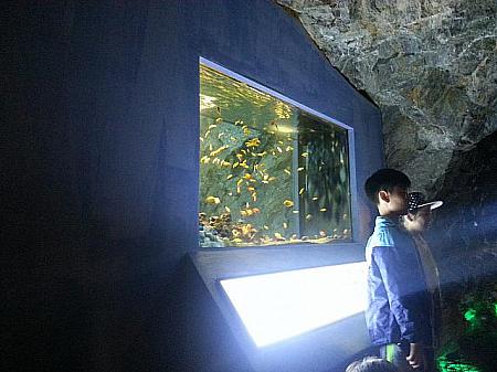 コーミィの子連れでソウル郊外の洞窟を探訪してきました！ in 京畿道 光明 洞窟探検 ソウル近郊 光明洞窟 涼しい ワインセラー 川遊び 人工渓流 トンネル IKEA イケア 子連れおすすめ観光地