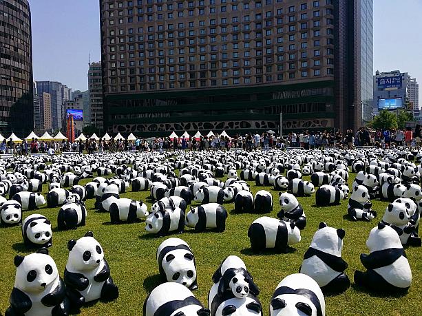 パンダです！フランスのアーティストパウロ・グランジョンとWWF（世界自然保護基金）のコラボで野生の大型パンダの保護を訴えるため世界を巡回している「1600パンダの世界旅行プロジェクト」がソウルの市庁前、ソウル広場にもやってきました～