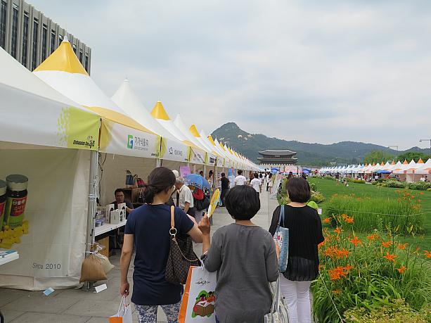 その光化門広場では「駐韓大使館の日」イベントを開催中。