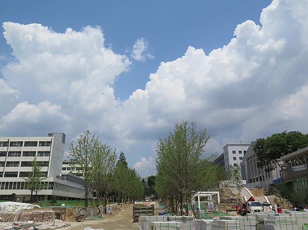 ただいま大学の中は大工事中！夏休みいっぱい工事となりそう。