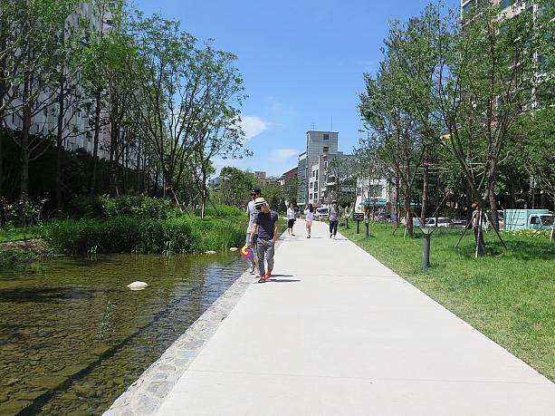 若者が賑わう街、弘大の近くに生まれた緑豊かなステキな通り。散歩にいかがですか？