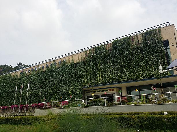 やってきたのは農業技術を研究するソウル市農業技術センター。まわりは山に囲まれ、畑が広がり、建物はグリーンカーテンに覆われています。