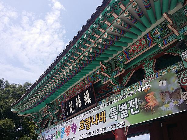 動物園とミニ遊園地があるのは徳津（トクジン）公園の東。緑がいっぱい。韓国らしい門をぐくって中へ。
