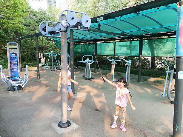 韓国の公園によくある運動器具ももちろんあります。