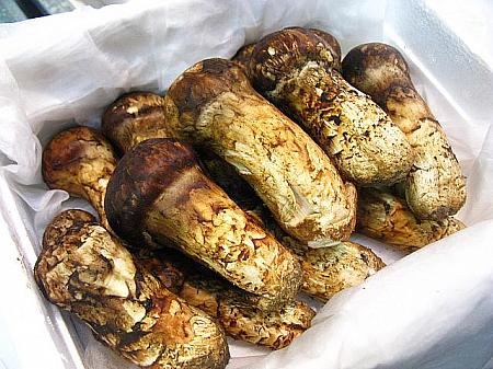 10月のソウル【2025年】 秋のソウル １０月のソウル 天高馬肥 チョンゴマビ ハイソウルフェスティバル 漢方文化祭り 紅葉 ハングルの日10月の服装