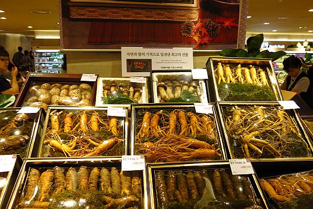 こちらは体に良い食品のコーナー。トドッ（ツルニンジン）やインサム（高麗人参）などは韓国っぽい！ナビはあのマツタケがいいなあ～