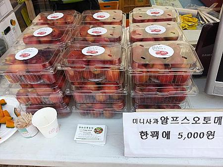 アルプスオトメというミニ林檎で日本の品種のようです。試食させてもらったら、甘酸っぱくておいしかった＾＾